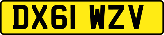 DX61WZV