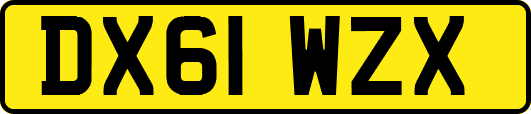 DX61WZX