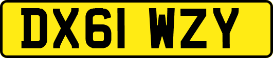 DX61WZY