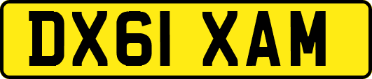 DX61XAM