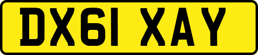 DX61XAY