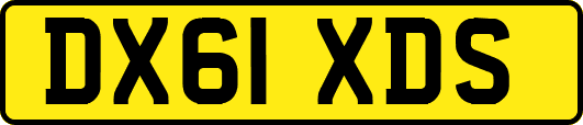 DX61XDS