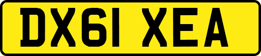 DX61XEA