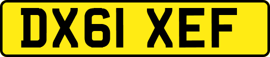 DX61XEF