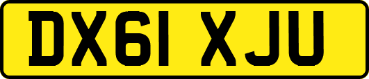 DX61XJU