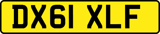 DX61XLF