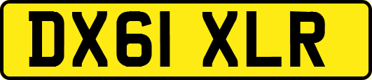 DX61XLR