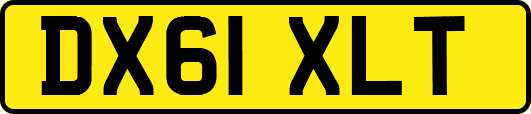 DX61XLT