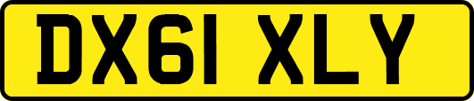 DX61XLY