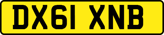 DX61XNB