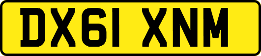 DX61XNM