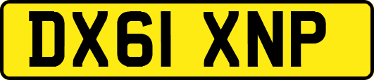 DX61XNP