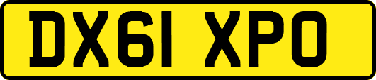 DX61XPO