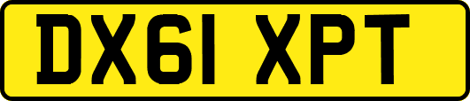 DX61XPT