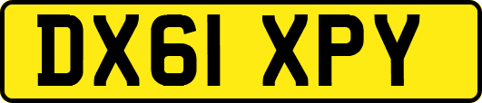 DX61XPY