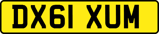 DX61XUM