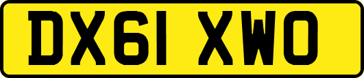 DX61XWO