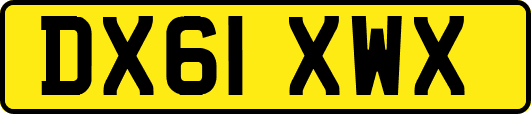 DX61XWX