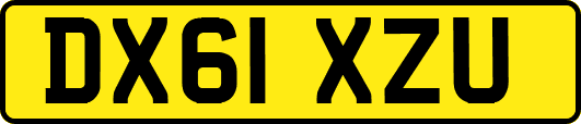 DX61XZU