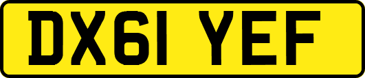 DX61YEF