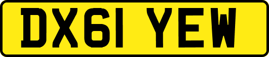 DX61YEW