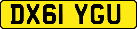 DX61YGU