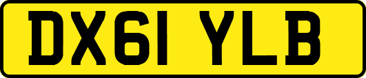 DX61YLB
