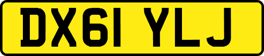 DX61YLJ