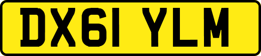 DX61YLM
