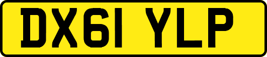 DX61YLP