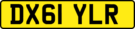 DX61YLR