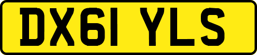 DX61YLS
