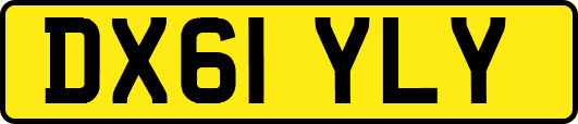 DX61YLY