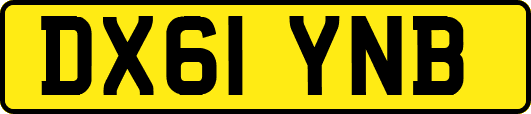 DX61YNB