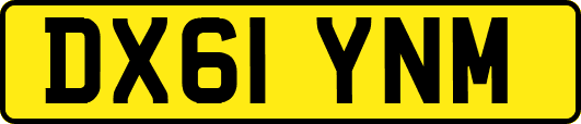 DX61YNM