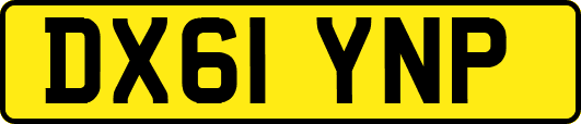 DX61YNP