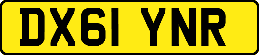 DX61YNR