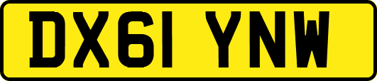 DX61YNW