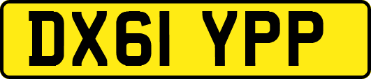 DX61YPP