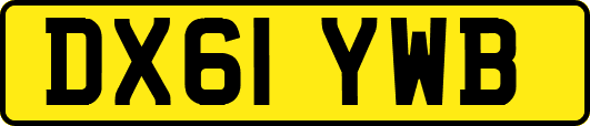 DX61YWB