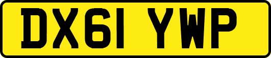 DX61YWP