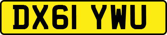 DX61YWU