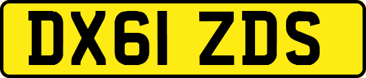 DX61ZDS