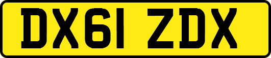 DX61ZDX
