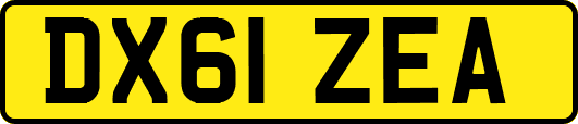 DX61ZEA