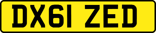 DX61ZED