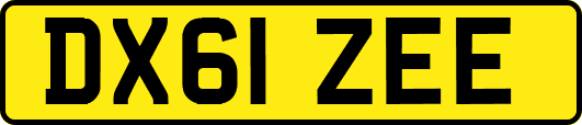 DX61ZEE