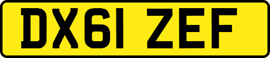 DX61ZEF