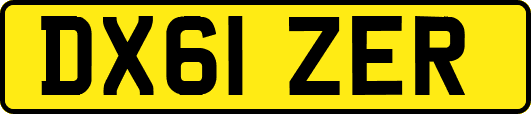 DX61ZER