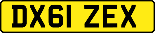 DX61ZEX